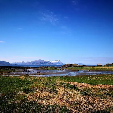 Kamp alanı Bodosjoen Camping